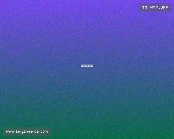 中超深圳队新消息